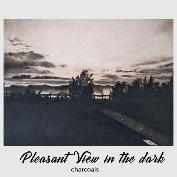 Pleasant View in the dark - June 2020